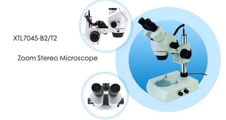 XTL7045-J4 Trinocular Stereo Microscope